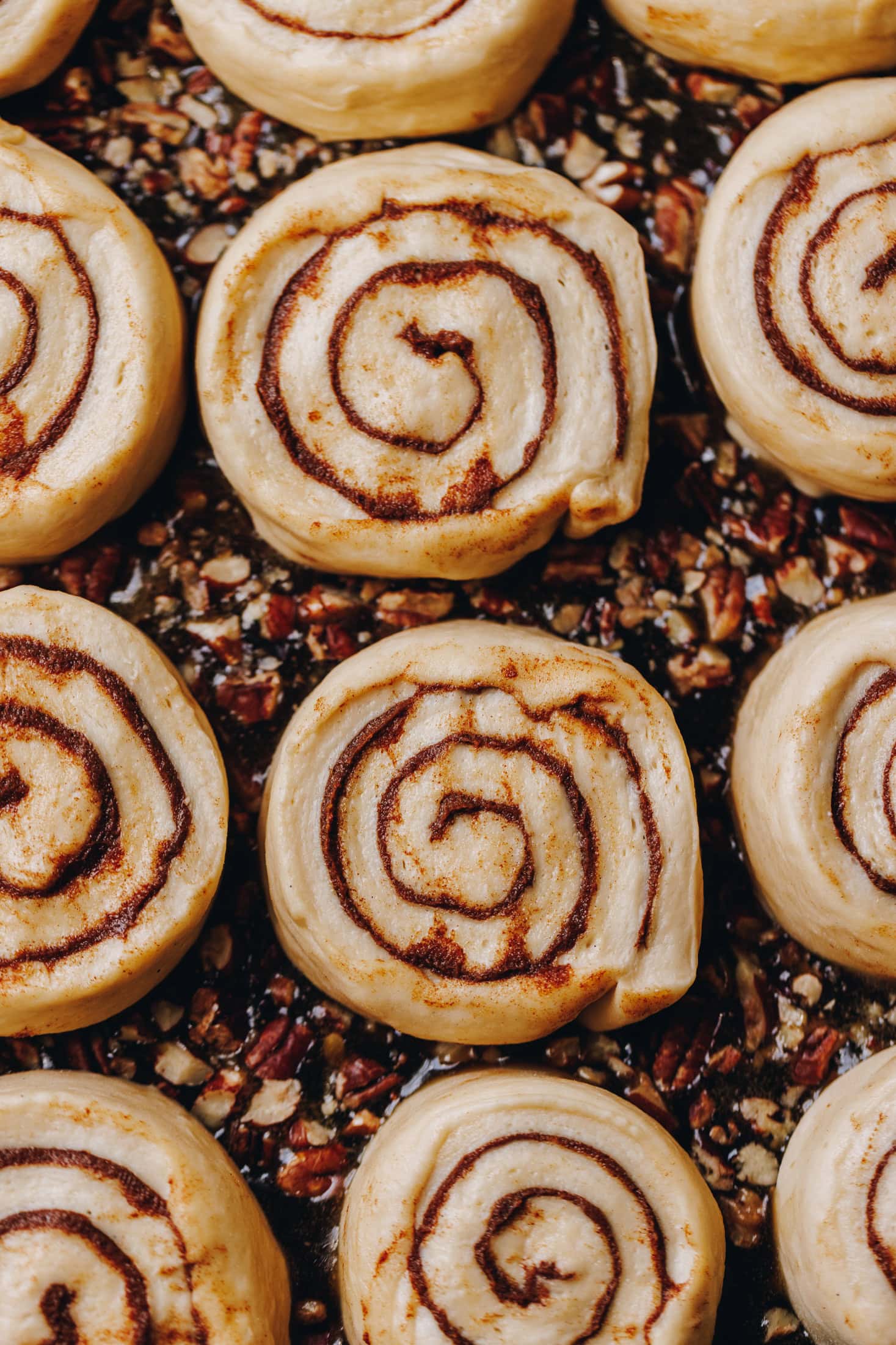 A flat lay shot shows a tray filled with maple caramel and unbaked sticky maple cinnamon scrolls. The dough has spirals of cinnamon butter in it and the caramel is studded with pecan nuts underneath them.