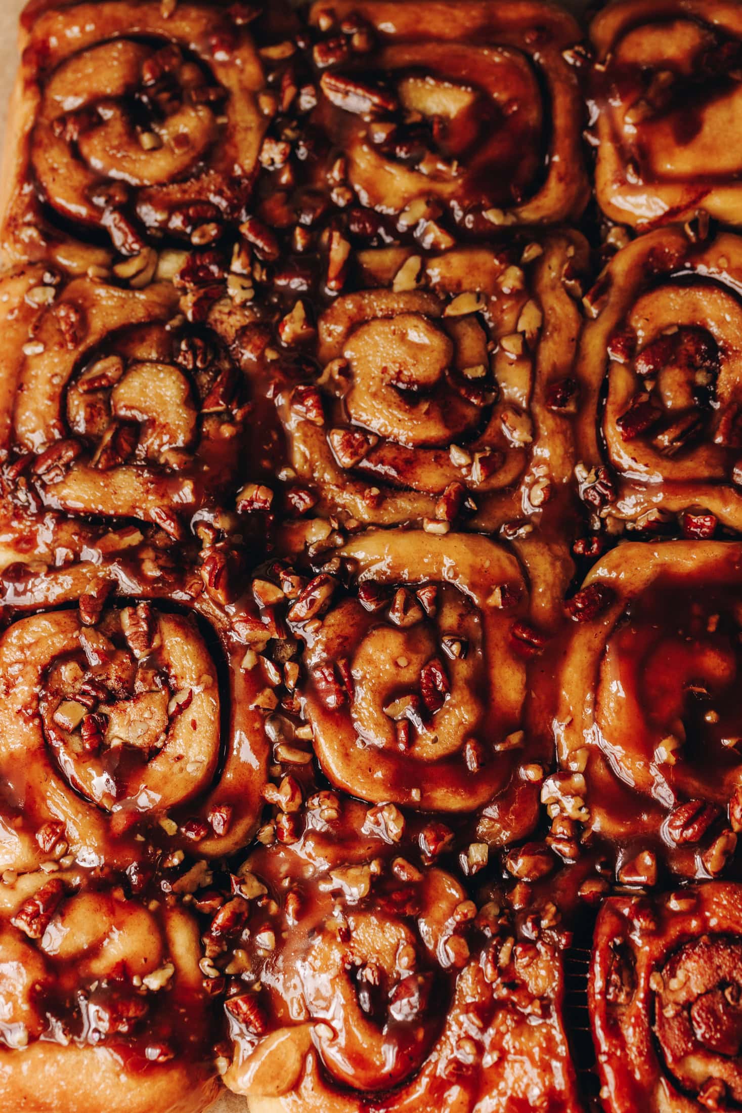 A close up, flat lay shot shows a photo of freshly baked sticky maple cinnamon scrolls with speckles of toasted pecan nuts and a sticky maple caramel on top.